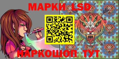 спиды Каменск-Шахтинский