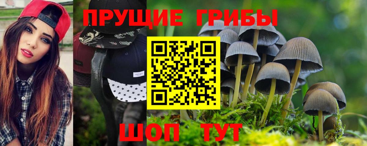 Галлюциногенные грибы мицелий Орехово-Зуево